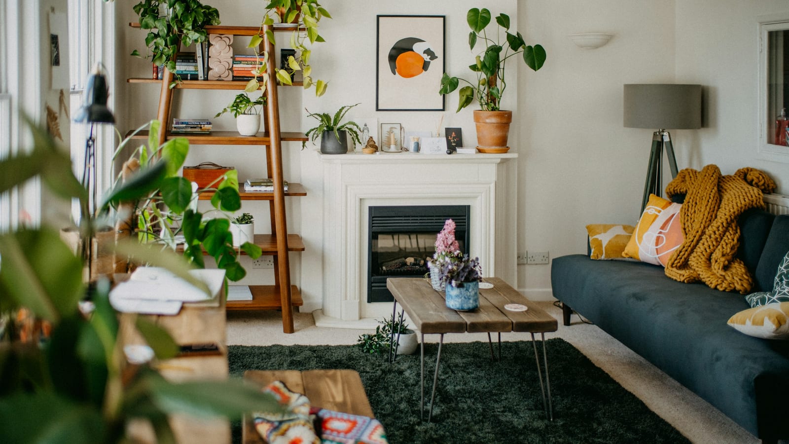 A warm, sunlit room with comfortable seating and green plants
